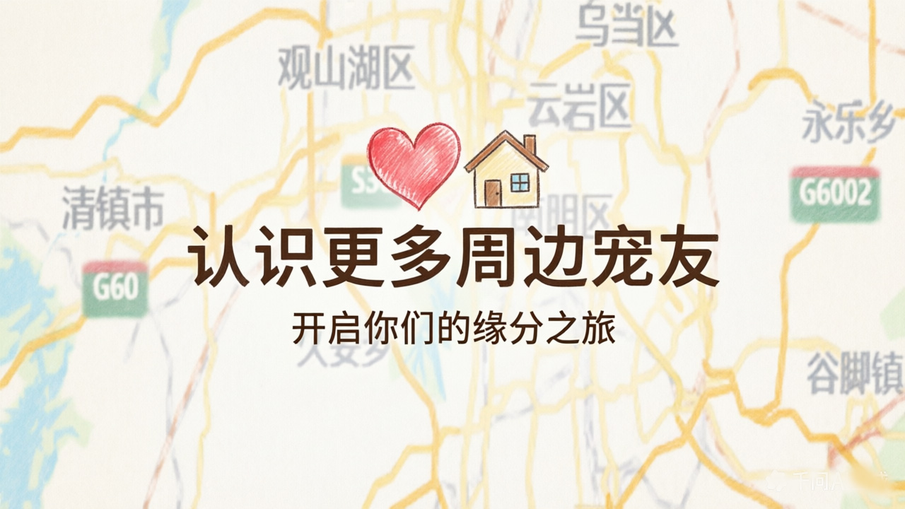 附近宠友